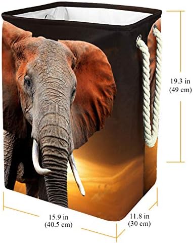 Elephant Africa korpa za veš ugrađena podstava sa odvojivim nosačima korpa za veš sa ručkama