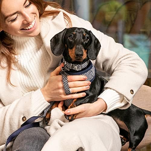 Hugo & Hudson Tweed ovratnik za pse s metalnom kopčom za brzo otpuštanje - podesiva udobna obložena obuka jak ovratnik za kućne ljubimce