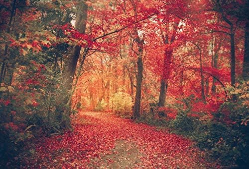 OERJU 7x5ft jesenja Javorova šuma pozadina jesen Sunset Woodland Road crveni pali listovi put krajolik prirodni pejzaž fotografija