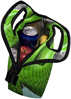 HEOEH dvije zmijske Mambe zelena torba za ručak Cooler tote torba izolovane Zipper kutije za ručak torbica za školski ured na otvorenom
