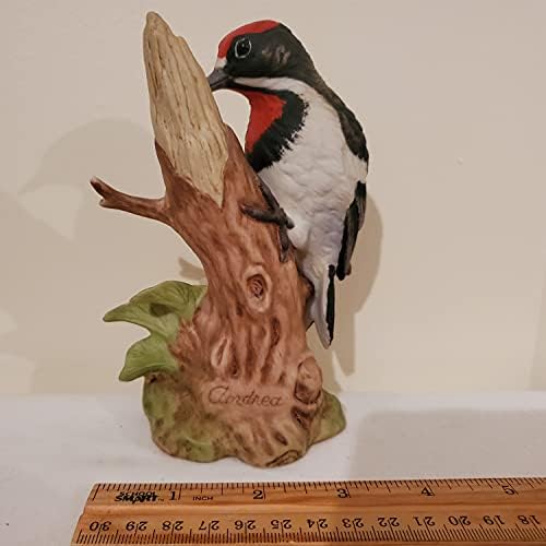 Ptice Andrea od Sadeka Downy Woodpecker br. 9386